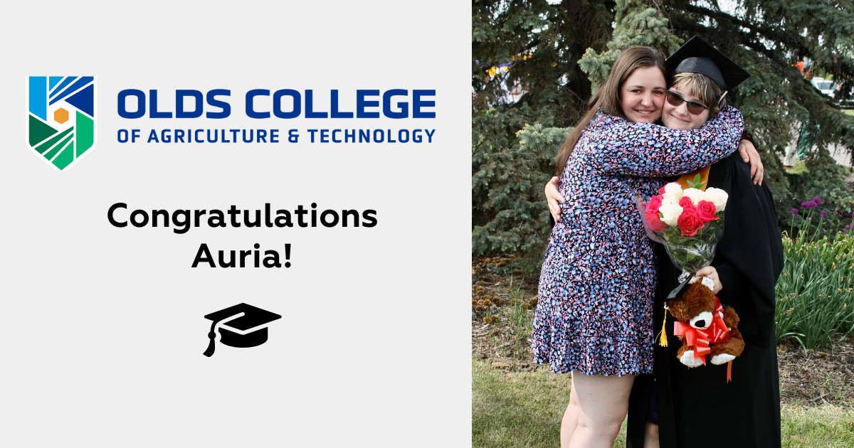 On the right is an image of two people hugging. the person on the right is wearing a black convocation gown and cap, sunglasses and is holding a teady bear and a bouquet of flowers. The person on the right is wearing a flower-patterned dress, has long brown hair. Both are smiling. On the left text reads: Olds College of Agriculture and Technology. Congratulations Auria!